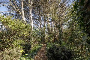 Photo 26- click for photo gallery